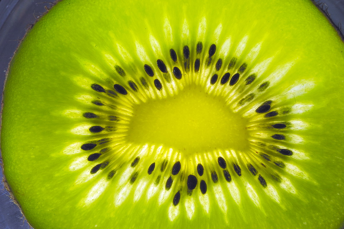 Esplosione di kiwi